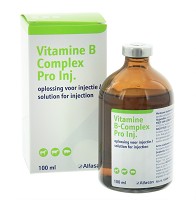 VITAMINE B COMPLEX+ 100ML. REGNL 120404